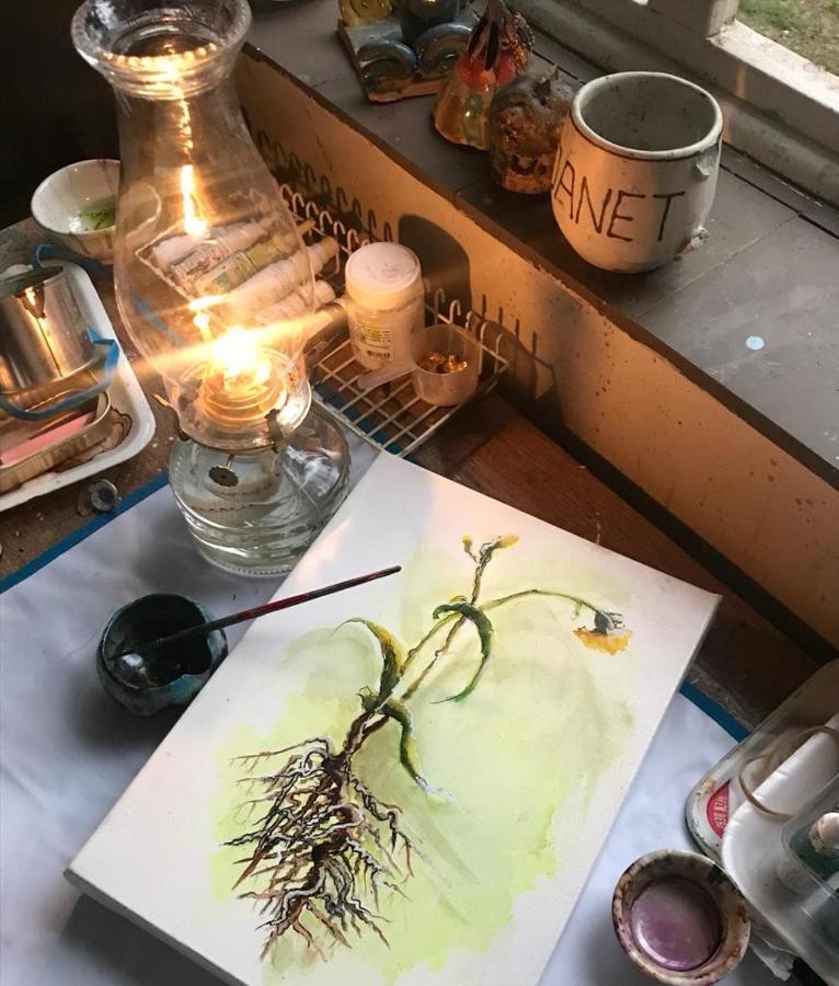 Artkaroo Stay 奥茨胡恩 外观 照片